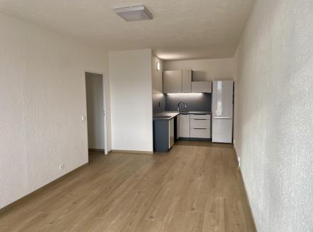 Pronájem bytu, 2+kk, 53,8 m²