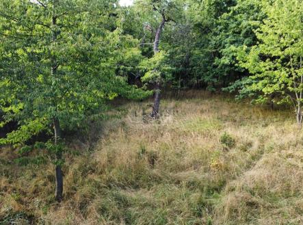 Prodej pozemku pro komerční výstavbu, 26 115 m²