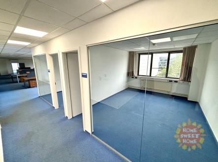 Pronájem kanceláře, 300 m²