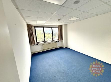 Pronájem kanceláře, 300 m²