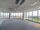 Pronájem kanceláře, 250 m²