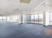 Pronájem kanceláře, 1 000 m²