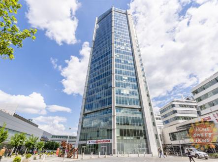 Pronájem kanceláře, 1 000 m²