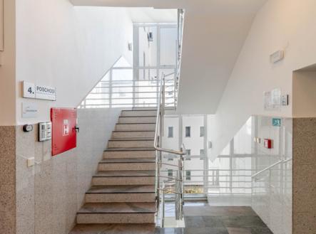 Pronájem - kanceláře, 28 m²
