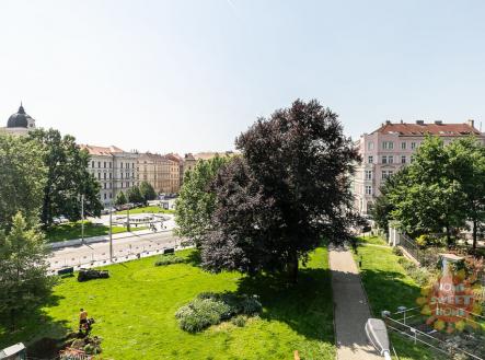 Pronájem bytu, jiný, 15 m²