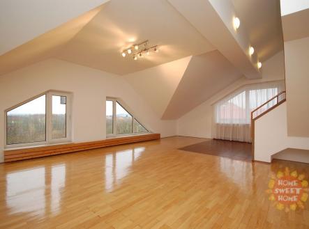 Pronájem bytu, 6+1, 293 m²