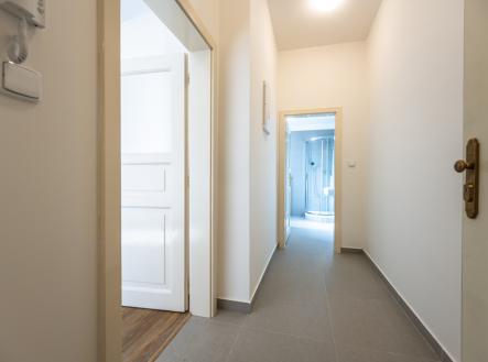 Pronájem bytu, 1+kk, 48 m²