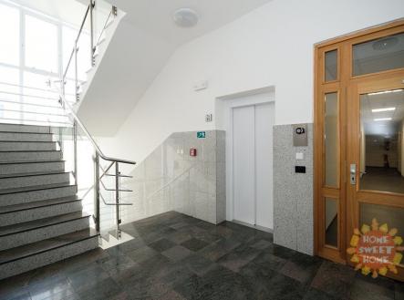 Pronájem kanceláře, 31 m²