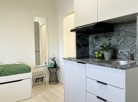 Pronájem bytu, 1+kk, 18 m²
