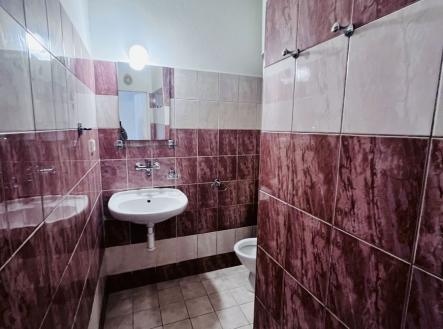 Pronájem bytu, 1+kk, 19 m²