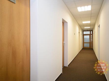 Pronájem kanceláře, 23 m²