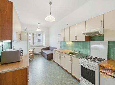 Pronájem bytu, 1+1, 51 m²