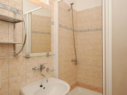 Pronájem bytu, 1+1, 31 m²