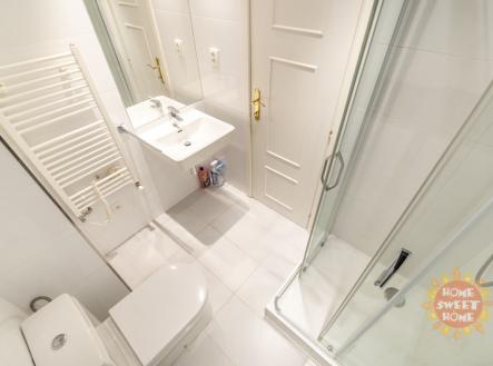 Pronájem bytu, 1+kk, 16 m²