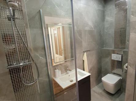 Pronájem bytu, 3+kk, 72 m²