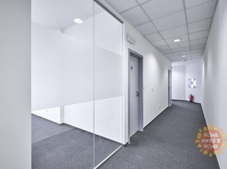 Pronájem kanceláře, 246 m²