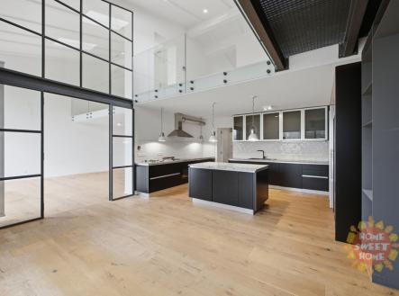 Pronájem bytu, 6+1, 324 m²