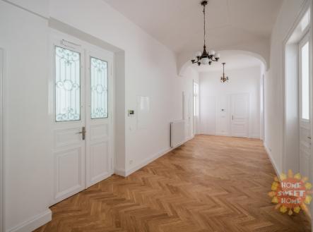 Pronájem kanceláře, 255 m²