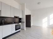 Pronájem bytu, 1+kk, 35 m²