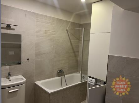 Pronájem bytu, 1+1, 48 m²