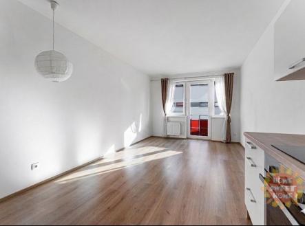 Pronájem bytu, 1+kk, 39 m²