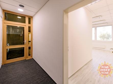 Pronájem kanceláře, 18 m²