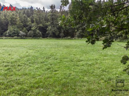 Prodej - pozemek, trvalý travní porost, 1 169 m² obrázek