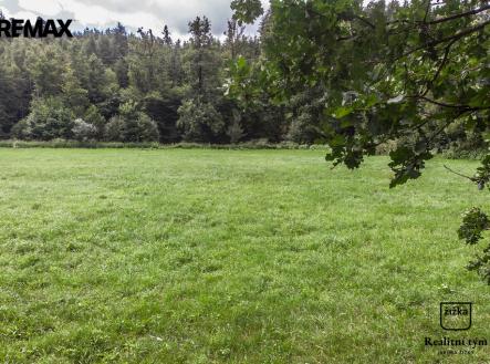 Prodej pozemku, trvalý travní porost, 1 169 m² obrázek