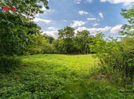 Prodej - pozemek, trvalý travní porost, 3 687 m² obrázek