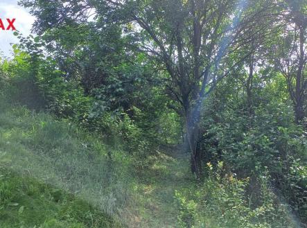 Prodej pozemku, zahrada, 1 853 m²