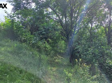 Prodej pozemku, zahrada, 1 853 m²