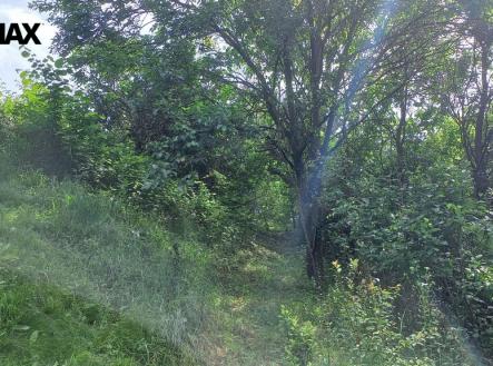 Prodej pozemku, zahrada, 1 853 m²