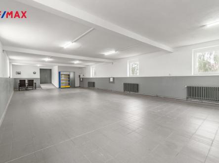 Prodej - skladovací prostor, 313 m²