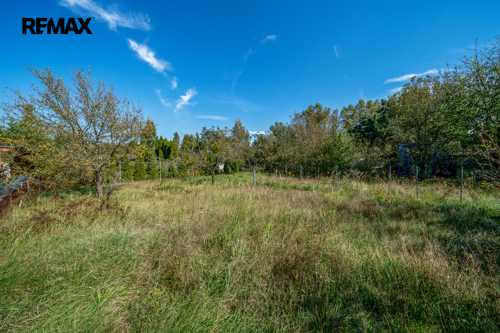 dsc06338-edit.jpg