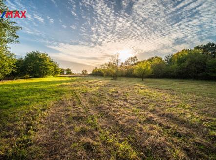 Prodej - pozemek pro bydlení, 2 590 m²