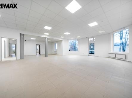 Prodej obchodní prostor, 227 m²