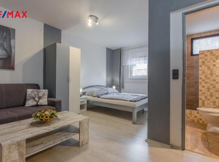 Prodej - hotel, 1 000 m²
