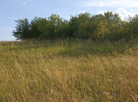 Prodej pozemku, zahrada, 730 m²