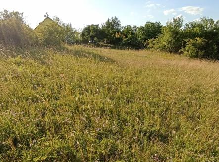 Prodej pozemku, zahrada, 730 m²