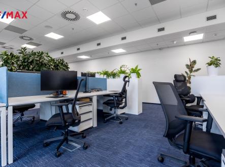 Pronájem kanceláře, 319 m²