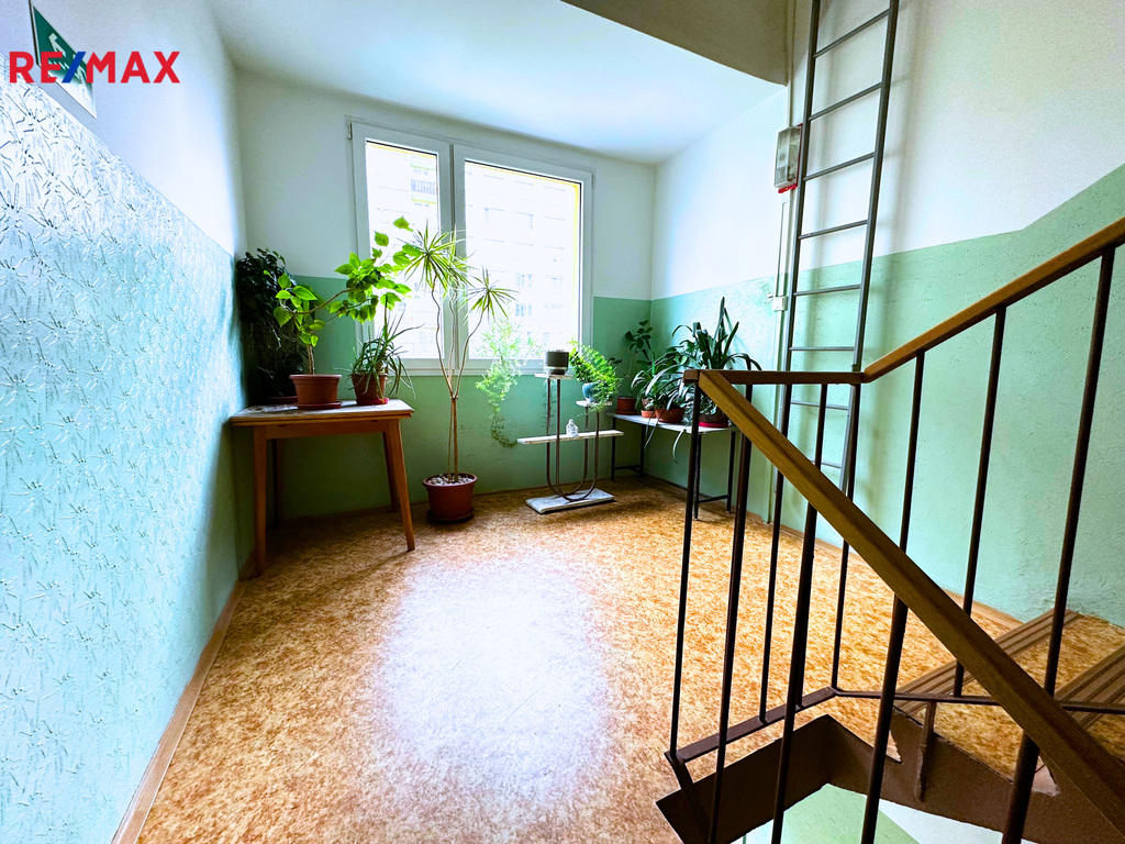 Fotku se nepodařilo načíst.