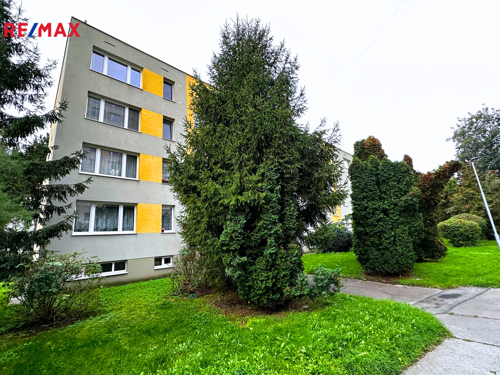 Fotku se nepodařilo načíst.