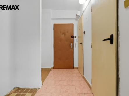 216a9154.jpg