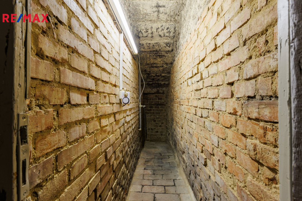 Fotku se nepodařilo načíst.