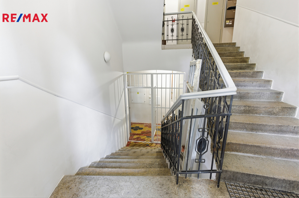 Fotku se nepodařilo načíst.