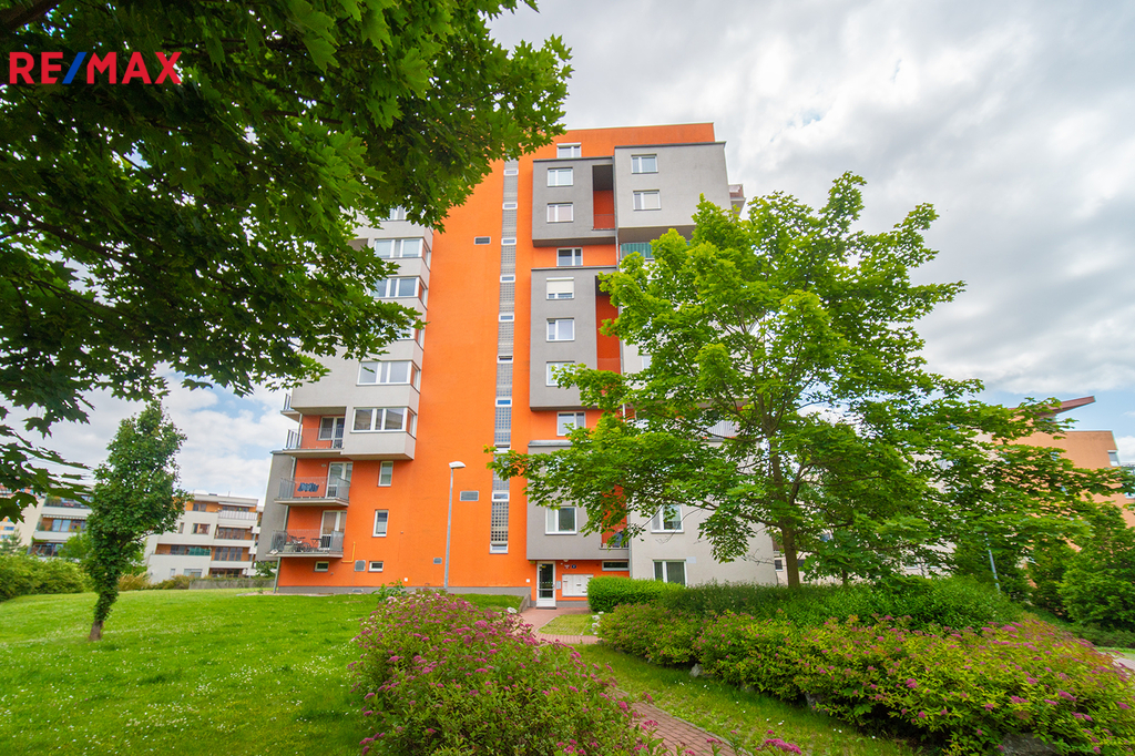 Fotku se nepodařilo načíst.