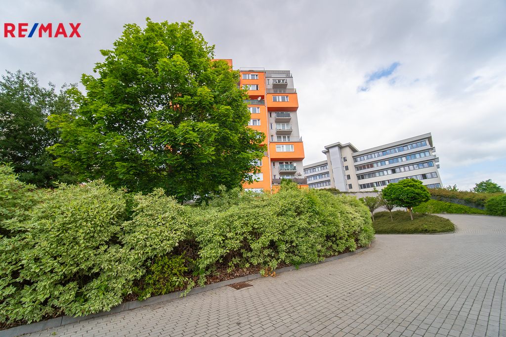 Fotku se nepodařilo načíst.