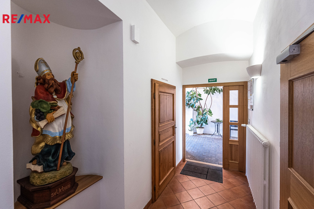 Fotku se nepodařilo načíst.