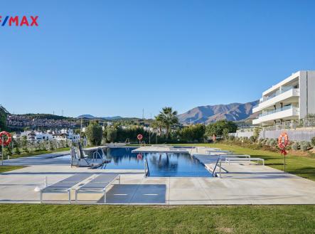 Orchid Casel de Paradise.