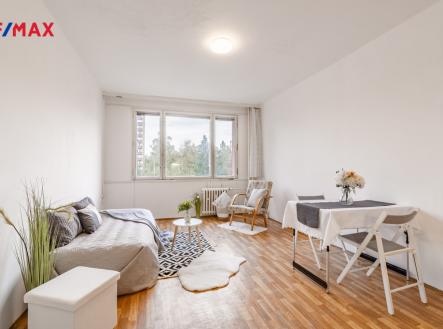 Pronájem bytu, 1+kk, 24 m²